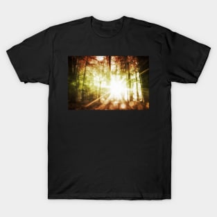 Woodland Sunburst T-Shirt